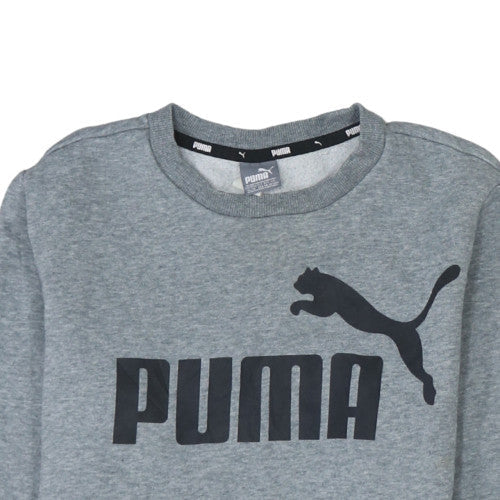 Puma Boys Grey Logo Pullover Sweatshirt 13-14 Years Fleece Regular Fit - Image 8