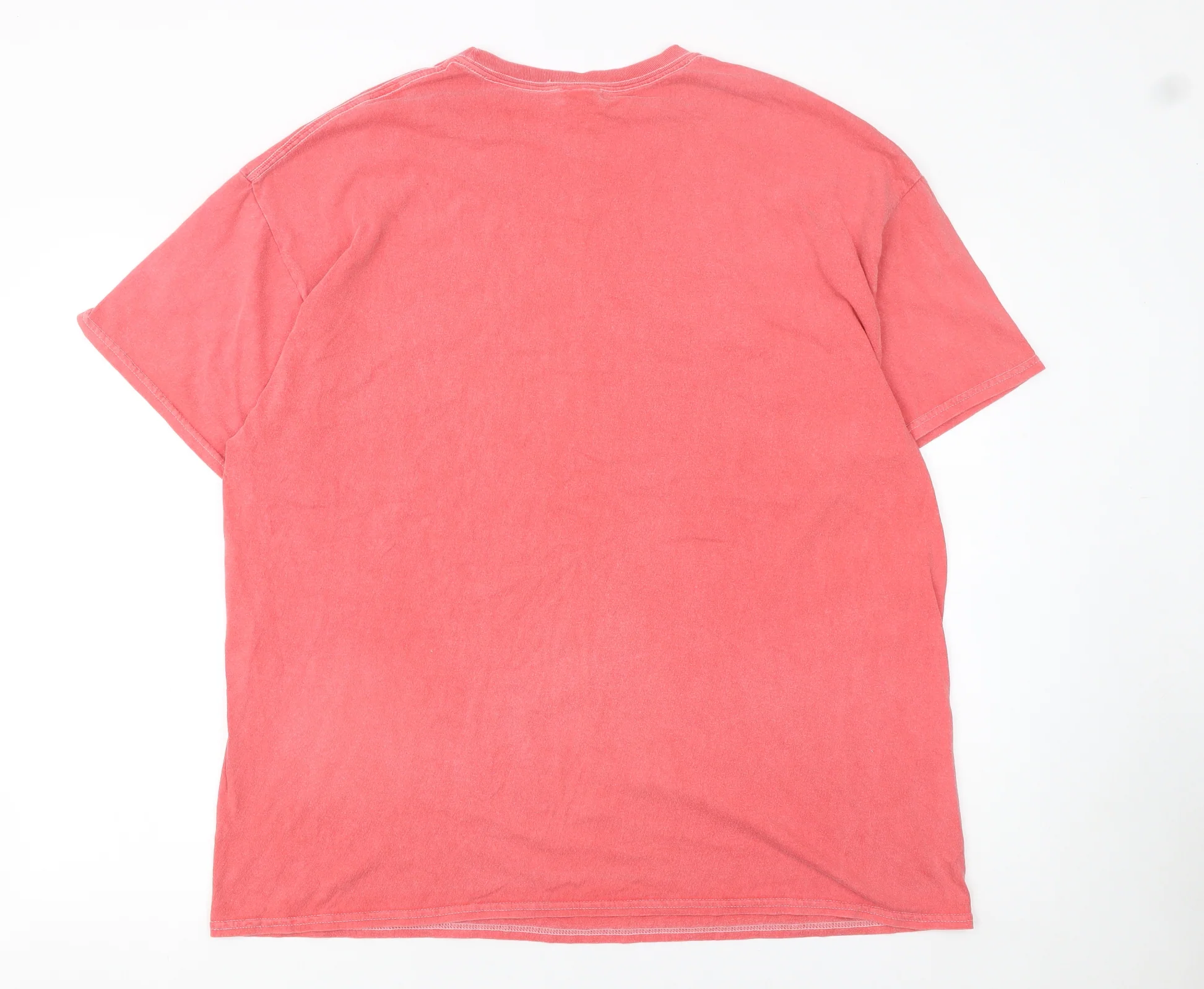 Urban Outfitters Men's Pink Nature Graphic T-Shirt L Retro Style - Image 3